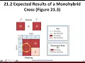21 2a One Trait Crosses