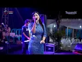 RED ONION - EVA EQUATOR - NEW ARNIVA || LUBOYO