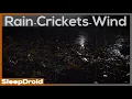 Download Lagu ►Forest Floor at Night: CRICKETS, RAIN, WIND Sounds for Sleep Study Relax, Crickets and Rain Sounds