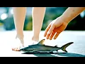 Download Lagu 19 minutes of the barefoot ​​AI women trampling ASMR compilations 03 - 202509