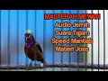 MASTERAN KOLIBRI NINJA GACOR FULL TEMBAKAN JERNIH TAJAM SPEED MANTAB AMPUH BUAT PANCINGAN GACOR