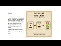 Informational Text Structures Visuals