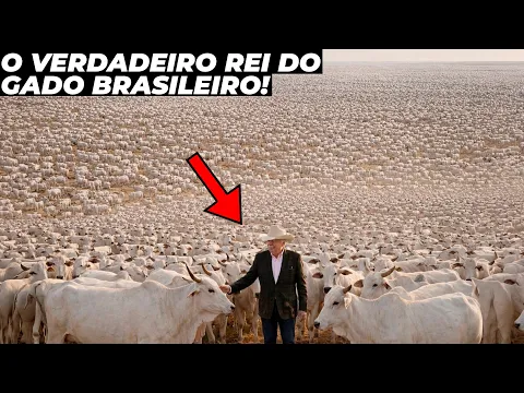 Vídeo do YouTube