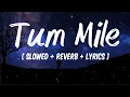 Download Lagu Tum Mile [ Slowed + reverb + lyrics ]-Javed Ali