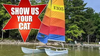 Show us your cat! Episode 105 USA