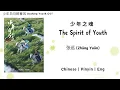 Download Lagu 少年之魂 (The Spirit of Youth) - 张远 (Zhāng Yuǎn) - [少年白马醉春风 Dashing Youth OST]《Chinese | Pinyin | Eng》