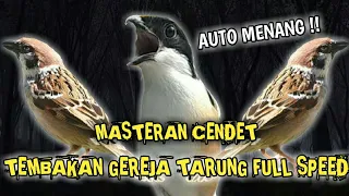 Download MASTERAN CENDET MEWAH || TEMBAKAN GEREJA TARUNG FULL SPEED !! MP3
