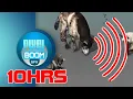 Download Lagu 10HRS Ultrasonic Sound to Scare Rats Dogs Cats Mosquitoes Reptiles