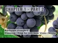 Chapter 1 - Part 2