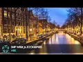 [Trap] Ship Wrek & Zookeepers - Ark