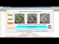 Tomato Leaf Disease Detection Using Image Processing With Source Code Matlab Project LeafDisease