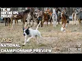 UKC Hunting Ops Podcast - Ep 145 Pointing Dogs