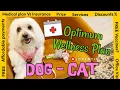 My Dog s Optimum Wellness Plans at Banfield I LORENTIX
