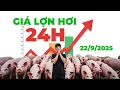 Download Lagu Giá heo hơi ngày 22/9/2025  | CHUYÊN GIA DỰ ĐOÁN BẤT NGỜ, KHẢ NĂNG SẮP BẬT TĂNG MẠNH