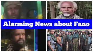 Alarming News About Fano 