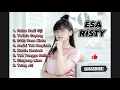 Download Lagu ESA RISTY || RA ISO DADI SIJI || FULL ALBUM TERBARU 2023