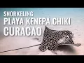 Download Lagu Snorkeling CURACAO Playa Kenepa Chiki - Klein Knip 2019 [4K]
