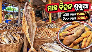 ମାଛ ବିହନ କିଲୋ ତିନି ହଜାର 😲 || Online Dry Fish Market 