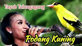 Download Tayub Tulungagung - Argo Laras - Podang Kuning MP3