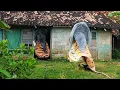 Download Lagu MENGEJEK !! Dikejar Barongan Ngamuk Sampai Masuk Rumah Kosong - Arak Arakan Barongan Blora