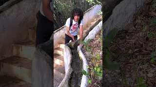 عبقرية المسلمين في بناء حضارة بلاد الاندلس 