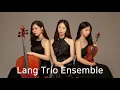 J. Haydn - Piano Trio in G Major, Hob XV;25 “Gypsy“, Ⅰ. Andante