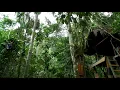 Download Lagu Tarzan X