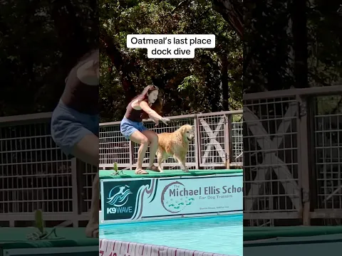 last in the competition, first in our hearts #dockdiving