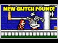 Every Glitch in Chip N Dale Rescue Rangers on NES