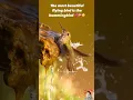 Download Lagu The most beautiful flying bird is the hummingbird 💕💝😳do you remember when we studied about them? MP3