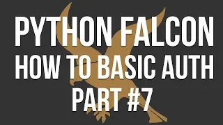 Python Falcon Part 7 - How to use basic auth