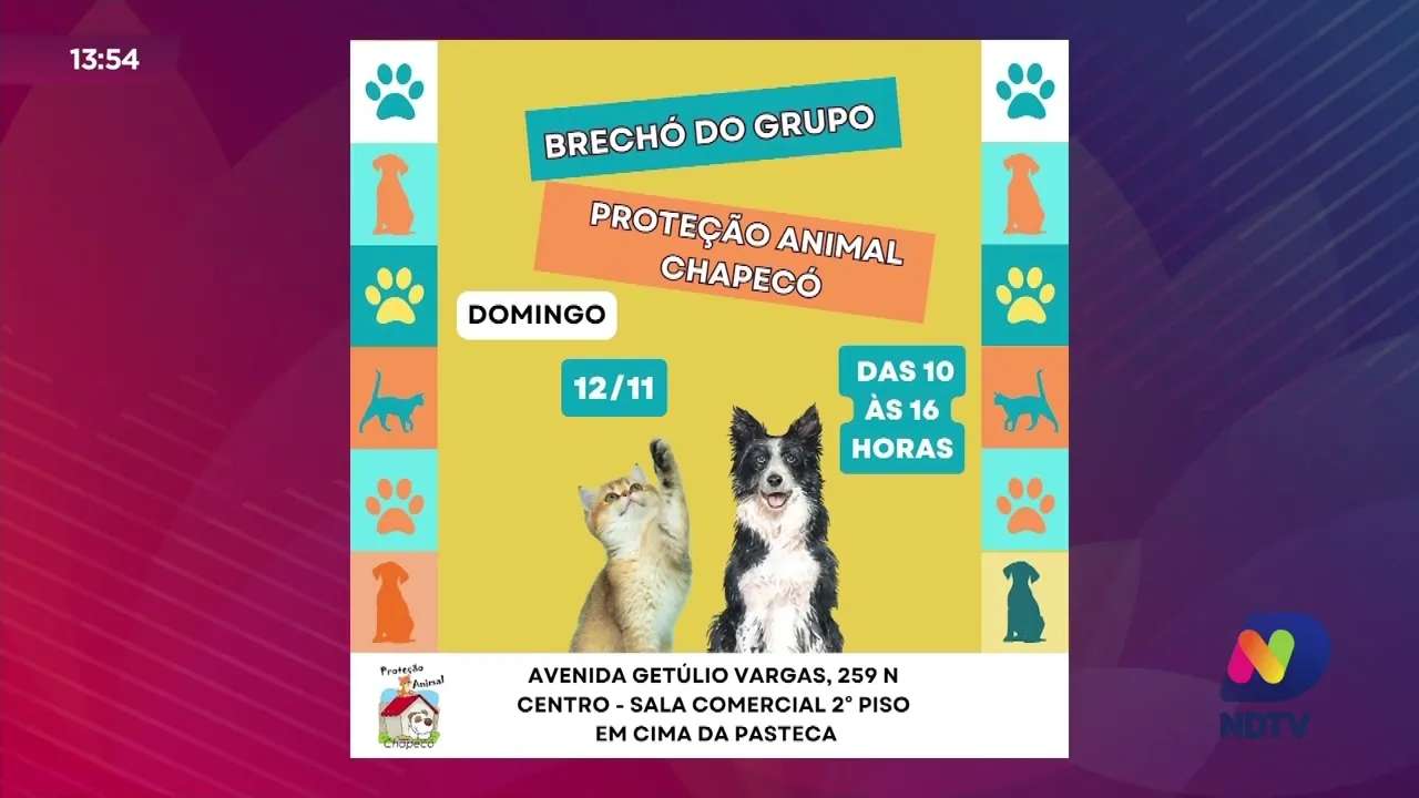 Faça a Diferença: Brechó Beneficente do Grupo Proteção Animal em Chapecó