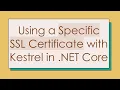 Using a Specific SSL Certificate with Kestrel in NET Core