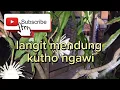 Download Lagu langit mendung kutho ngawi by yeni inka (lirik lagu)
