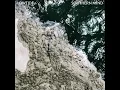 Lowtide - Alibi