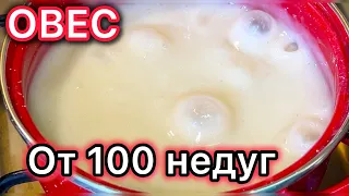 ЛОЖКА УТРОМ натощак, вмиг на ноги поставит / От 100 болезней. Желудок, печень, Йогурт из овса.