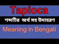 Tapioca Meaning In Bengali Tapioca mane ki