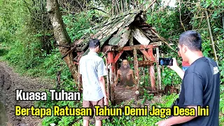 kuasa tuhan ditemukan orang bertapa ratusan tahun di bawah pohon