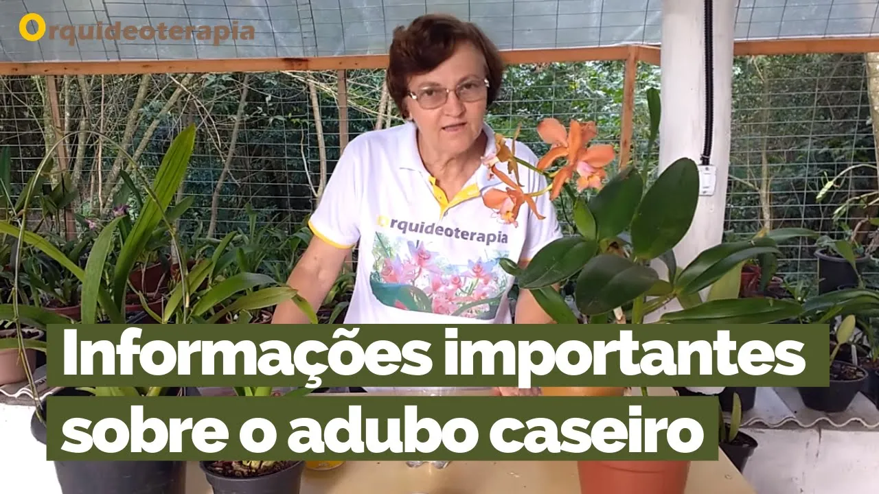 INFORMAÇÕES SOBRE ADUBO CASEIRO PARA ORQUÍDEAS