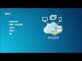 ArcGIS Runtime SDKs Building a Routing Application