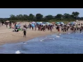 Hydro-Arrest of man at Hammonasset Beach in Madison Connecticut