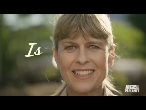 'Crikey! It's the Irwins' (2018) Trailer