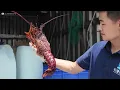 Inside China's Massive Banquets! Nearly 2 Hours of Food & Cooking