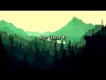 Corazón mágico - Dyango (Letra)