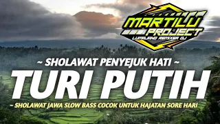 dj sholawat jawa dj sholawat turi putih dj sholawat terbaru2023