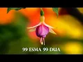 Download Lagu 99 ESMA 99 DUA | Kuran Terapi Şifa Noktası | Allah'ın 99 İsmi