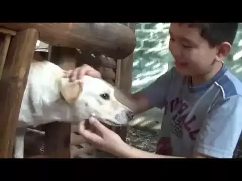 Introduction to the Happy Animals Club