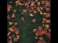 October Passed Me By