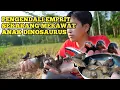 Download Lagu VIRAL - PELIHARA RATUSAN BURUNG EMPRIT DAN BISA JINAK | UNBOXING ANAK BURUNG LANGKA