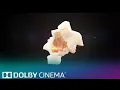Movies Matter Dolby Cinema Dolby